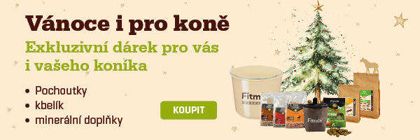 banner_vanocni  horse_produktovy kosik_600x200